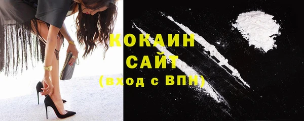 соль ск Щигры