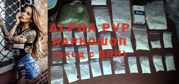 крисы Инта