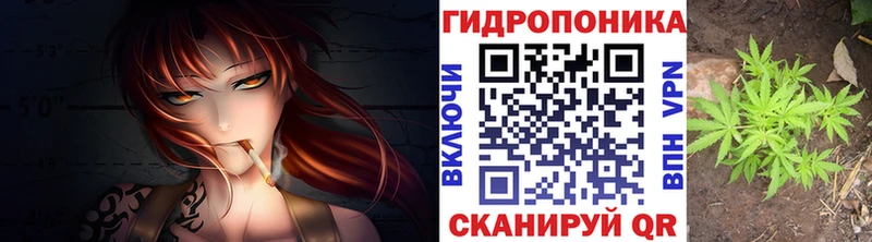 Бошки Шишки VHQ  Высоцк 